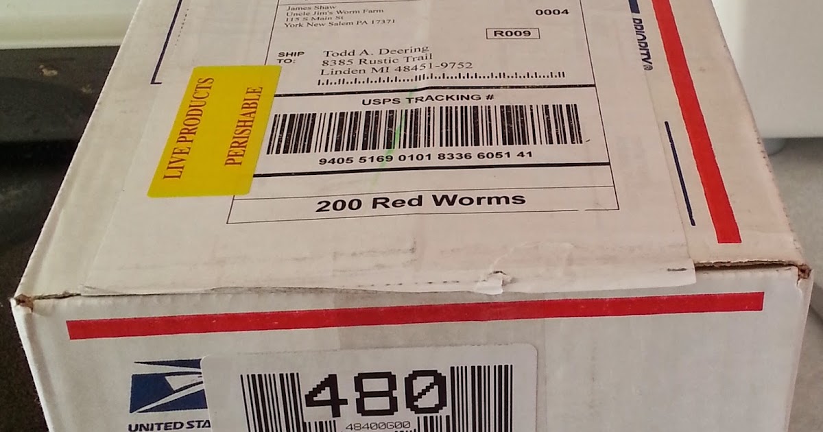 From our SSL Family Dad Indoor Worm Bin and the Ultimate Fruit Fly