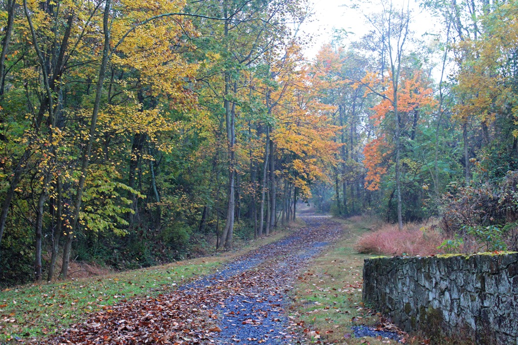 Roundtop Ruminations Sounds and sights of fall