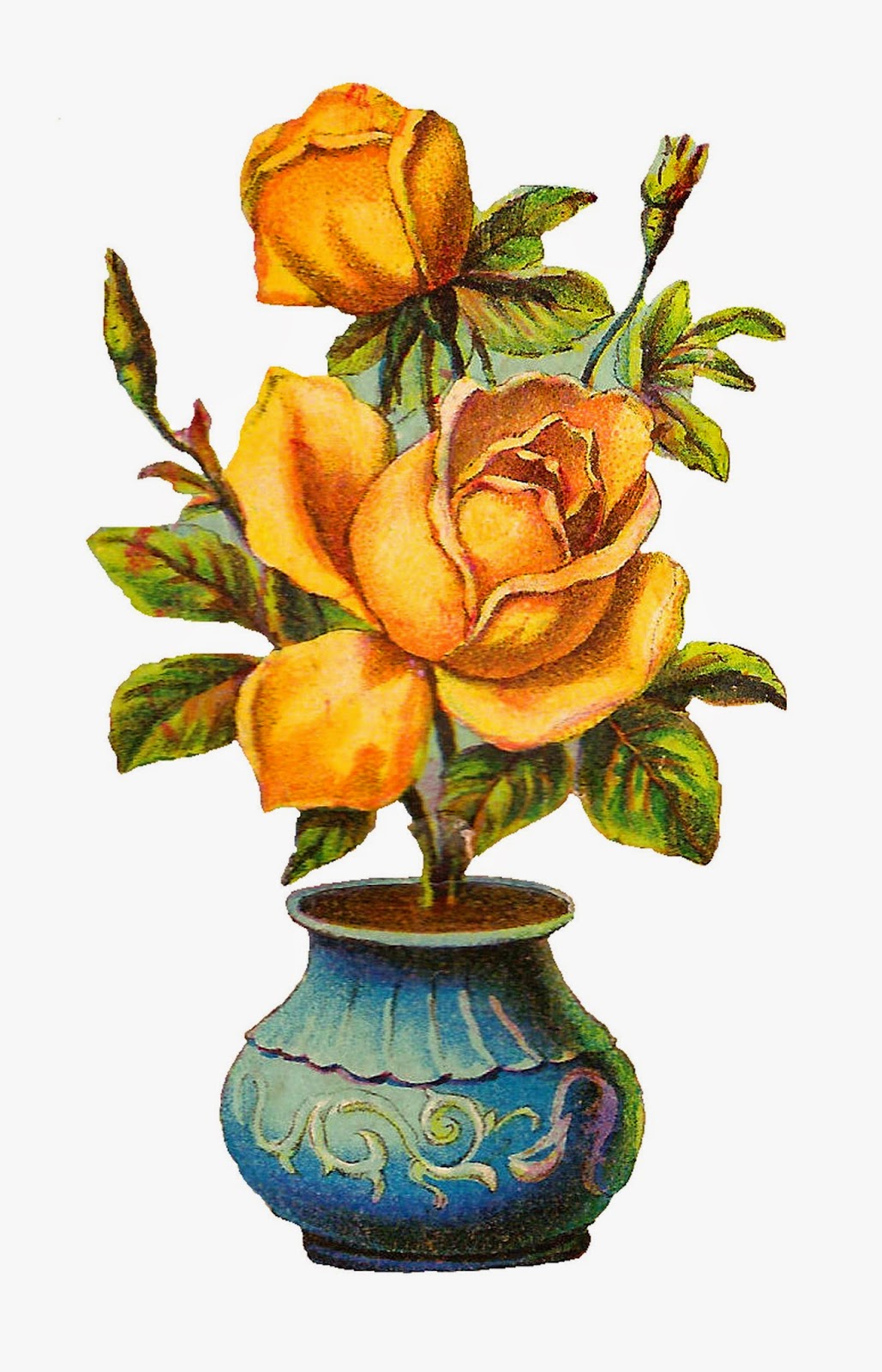 Antique Images: Vintage Botanical Yellow Rose Digital Download with