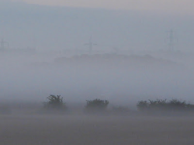 Misty morning over the fields