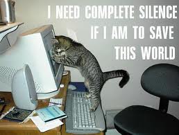 funny+cat+pictures.jpeg