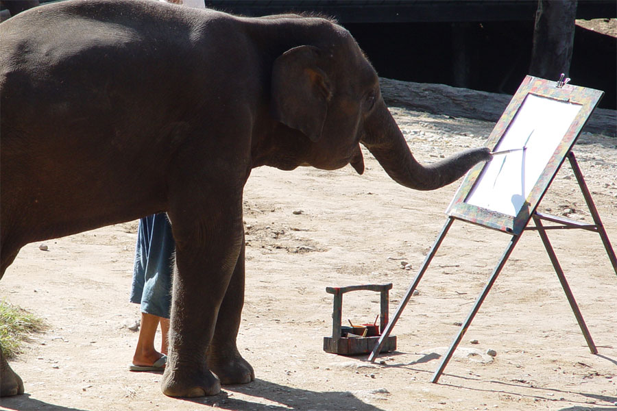 An Elephant Painting an Elephant...