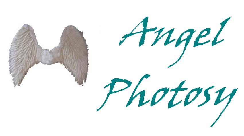 Angel Photosy