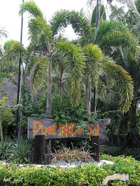 Kat's Musings: Photo Op: Puerto del Sol (2008)