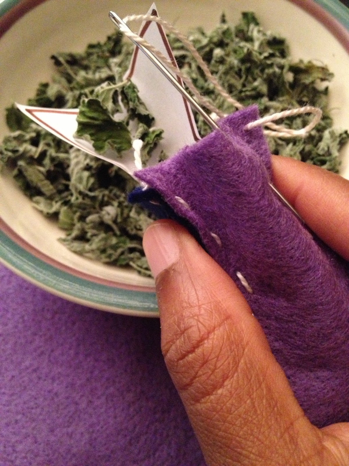 Olivia Cleans Green How to Craft a Cat Toy with Fresh Catnip