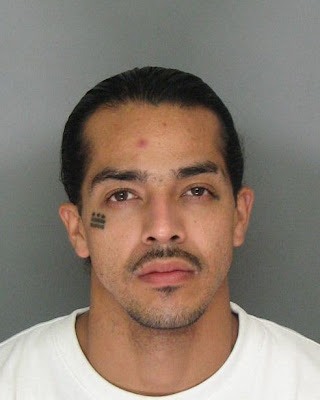 santa cruz police