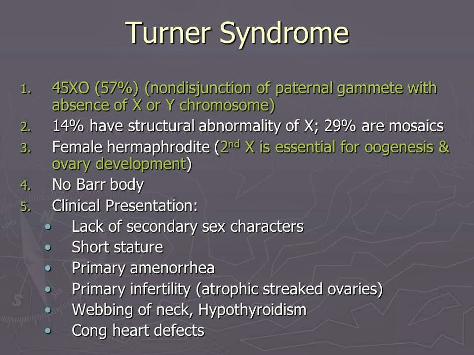 Slide 23