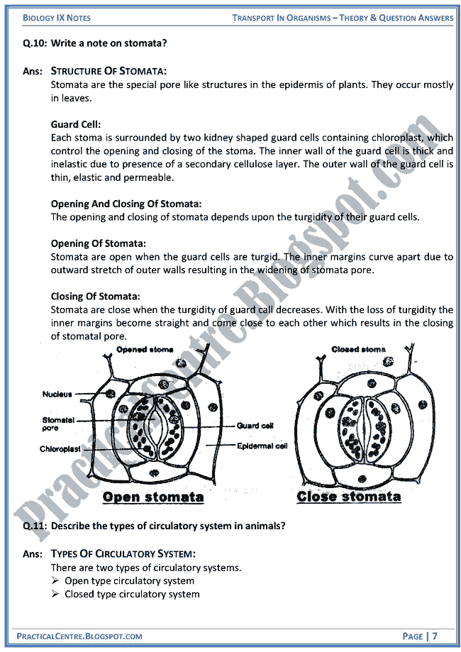 transport-in-organisms-theory-and-question-answers-biology-ix