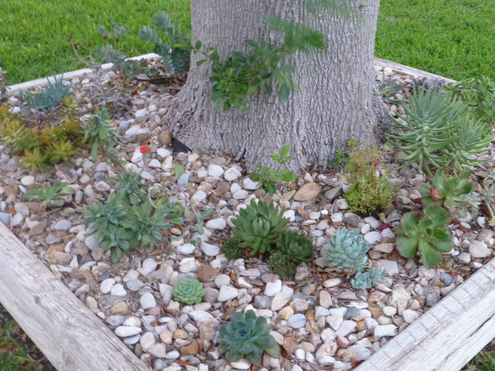 A Few of My Favorite Things