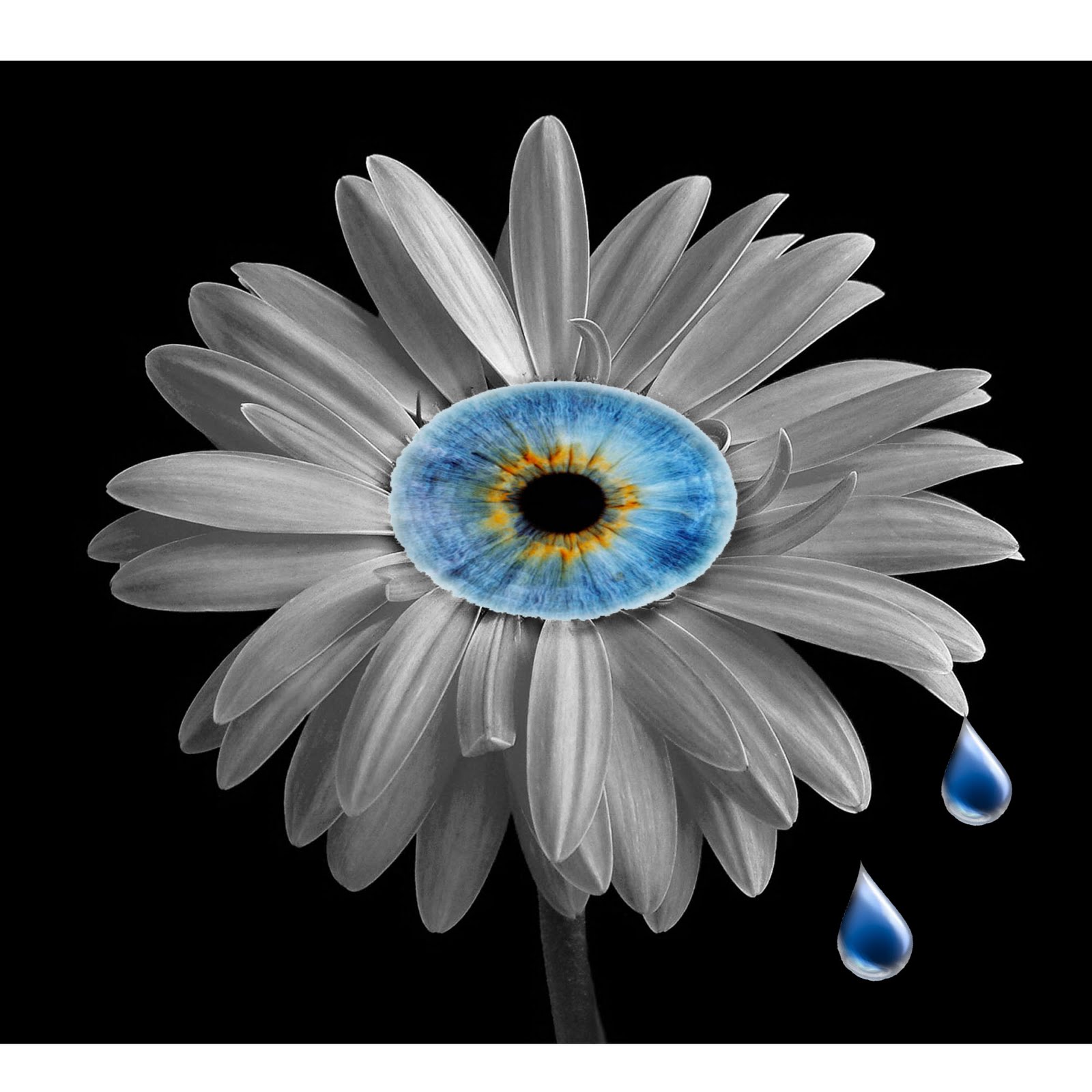 beautiful imperfection