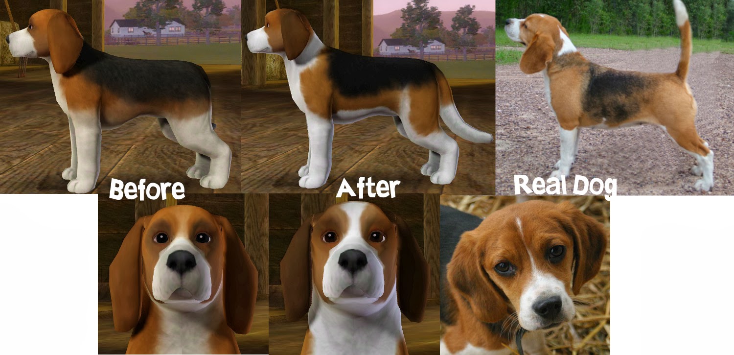 better beagles cresties creations beagle puppy size chart