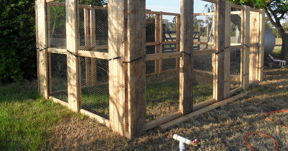 Life As A Lake Chicken Coop