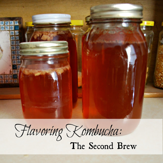 Flavoring Kombucha, the Second Brew Oak Hill Homestead