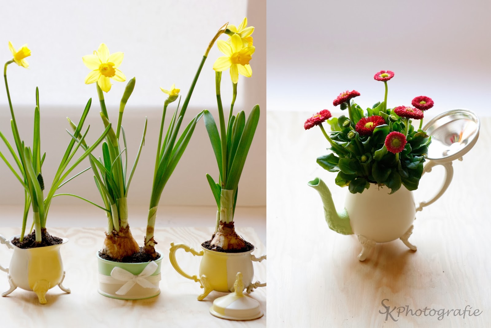 DIY: Frühling im Kännchen - Alles und Anders