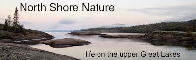 North Shore Nature