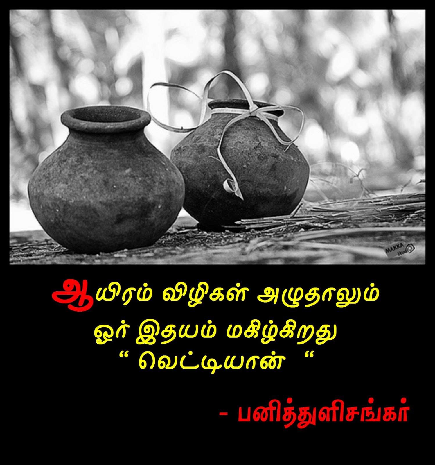 Photos Photos