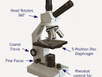 Microscope Diagram Microscope Diagram