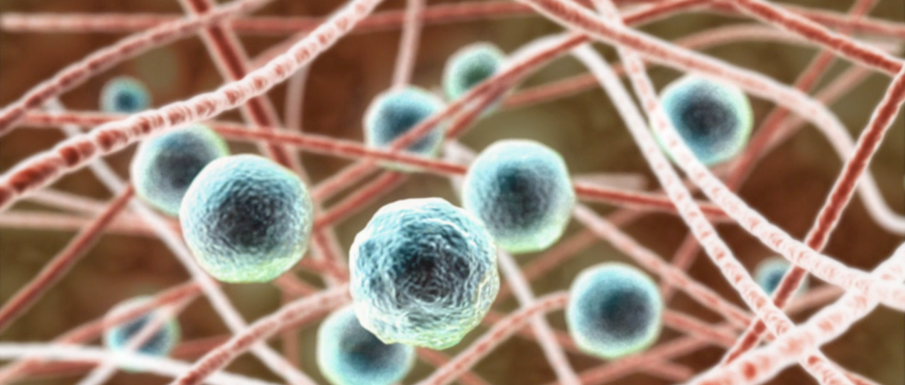 scientific research papers on stem cells scientific research papers on stem cells