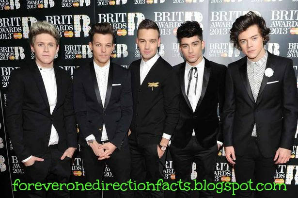 Forever One Direction Facts