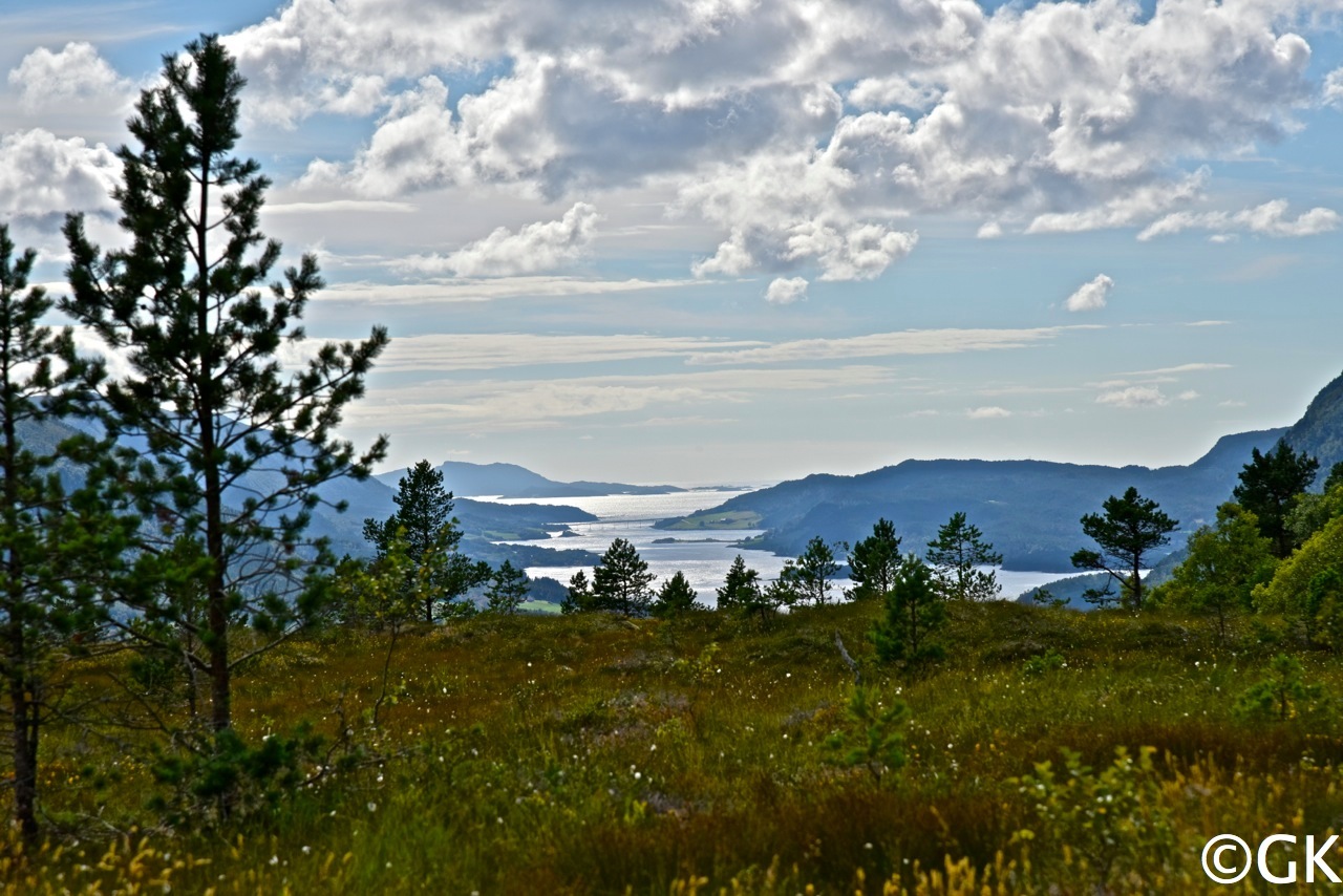31. Juli - Im Hintergrund glitzert der Torsersund.