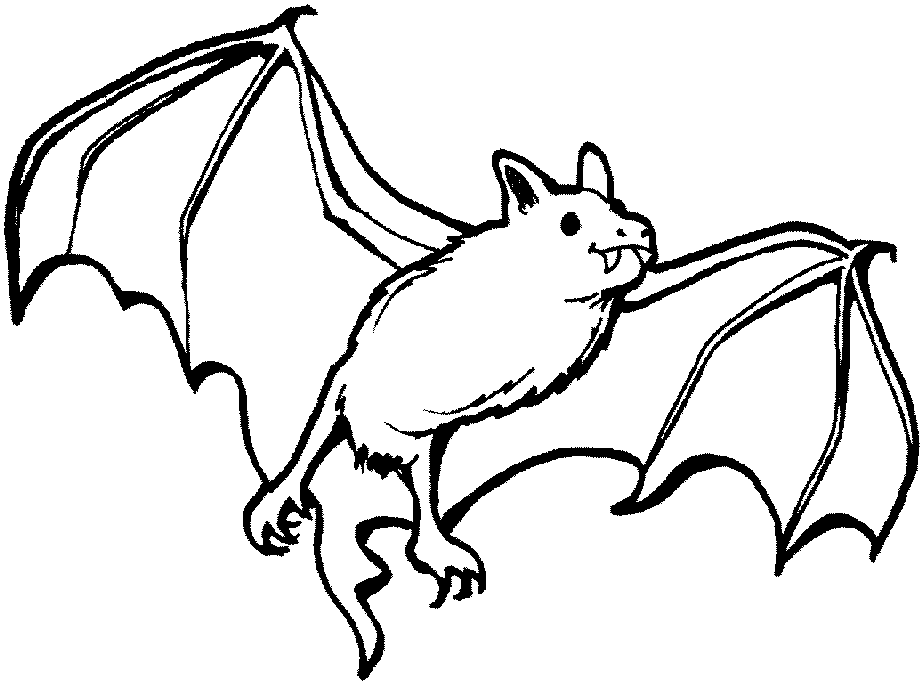Nocturnal Animals Coloring Pages : Bats Flying