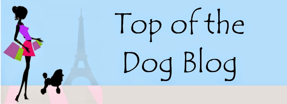 Top of the Dog Blog