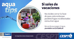 Cespt