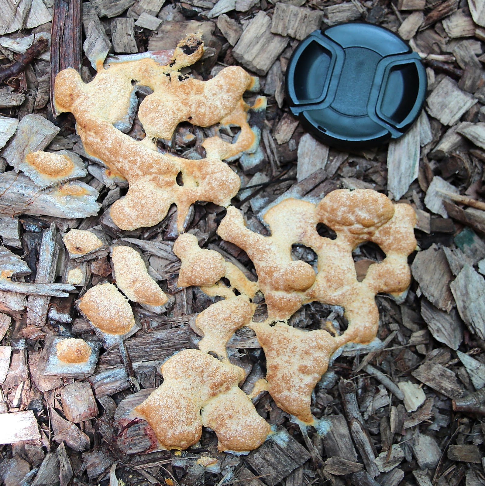 It Just Comes Naturally Dog Vomit Slime