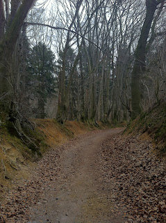 Hohlweg "Alter Landgraben"