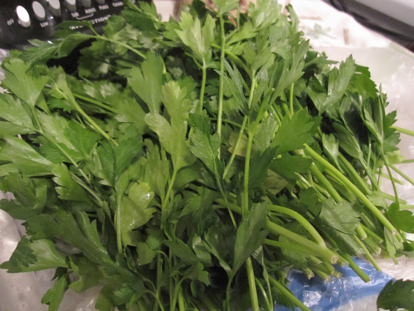 The Academic Chef What to do with that leftover bunch of parsley?