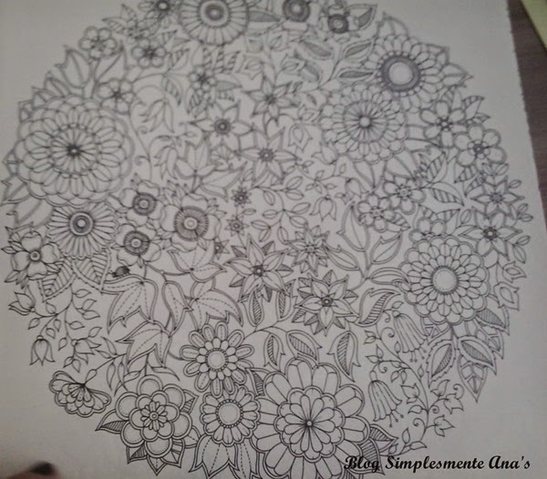 Com a quantidade de desenhos acho que ficarei 2015 inteiro pintando Com a quantidade de desenhos acho que ficarei 2015 inteiro pintando