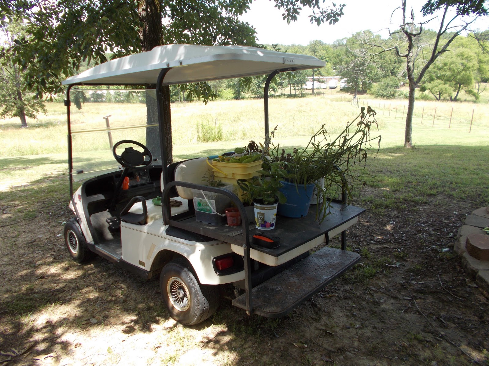 Simple, But Fabulous Is it a Golf cart?