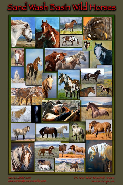 Sand Wash Basin Wild Horses poster