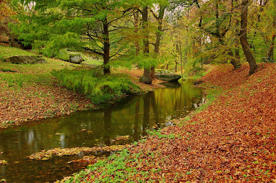 Río de agua cristalina cruzando por un hermoso paisaje de otoño This