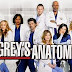 Grey's Anatomy :  Season 10, Episode 12