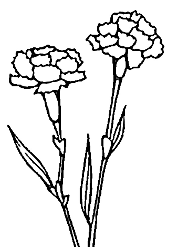 desenhos para imprimir e pintar cravos