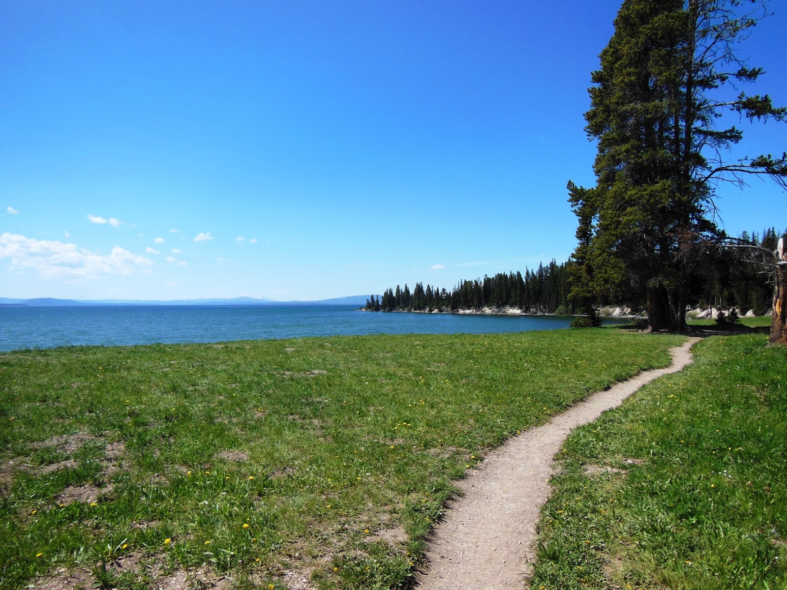 Brian and Ashley's Hiking Blog! Storm Point Hike (Yellowstone National