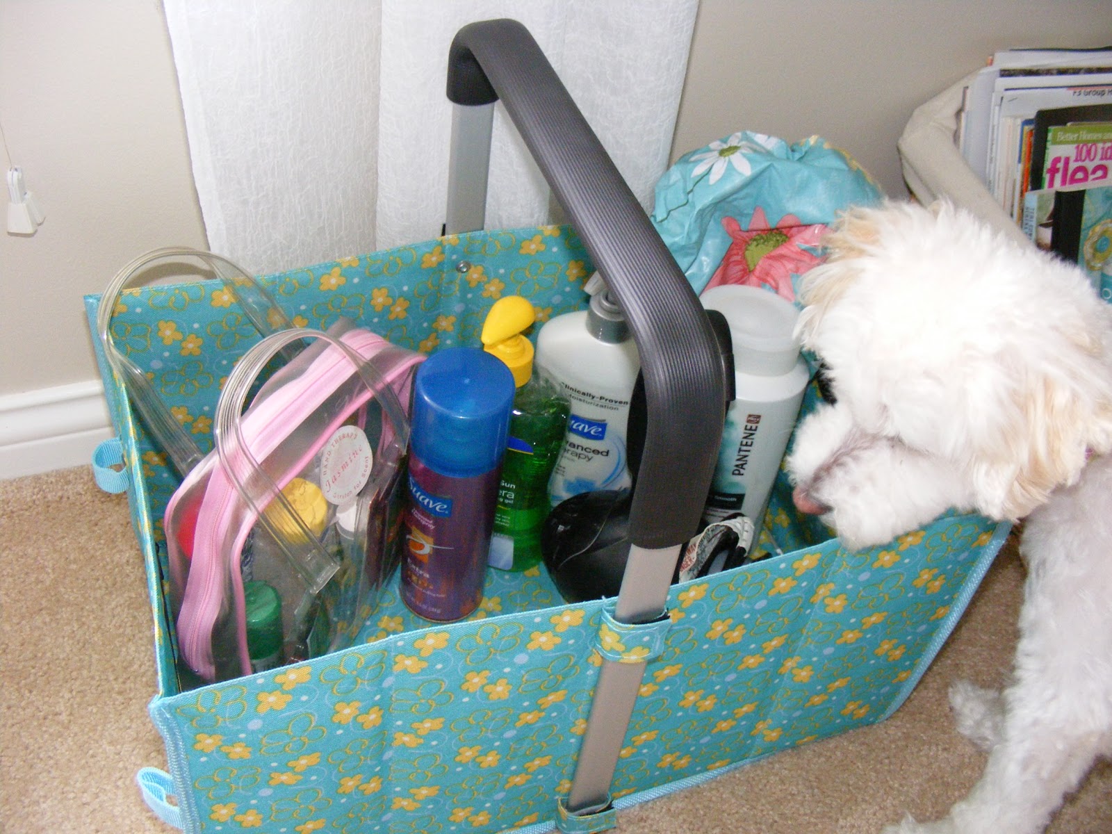 Simple Things, Sweet Life Cute Carry All Tote from Sam's Club