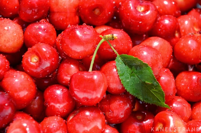 Freshly picked cherries by Kanelstrand