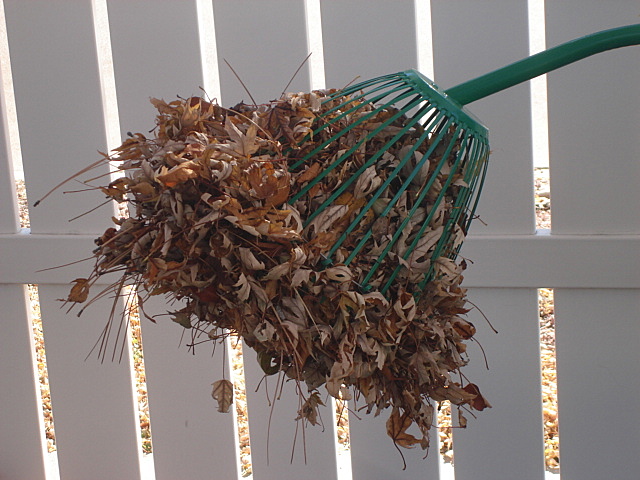 Louise Sanchez / Herbs Crafts Gifts: Leaf Grabber Rake - No Stooping or