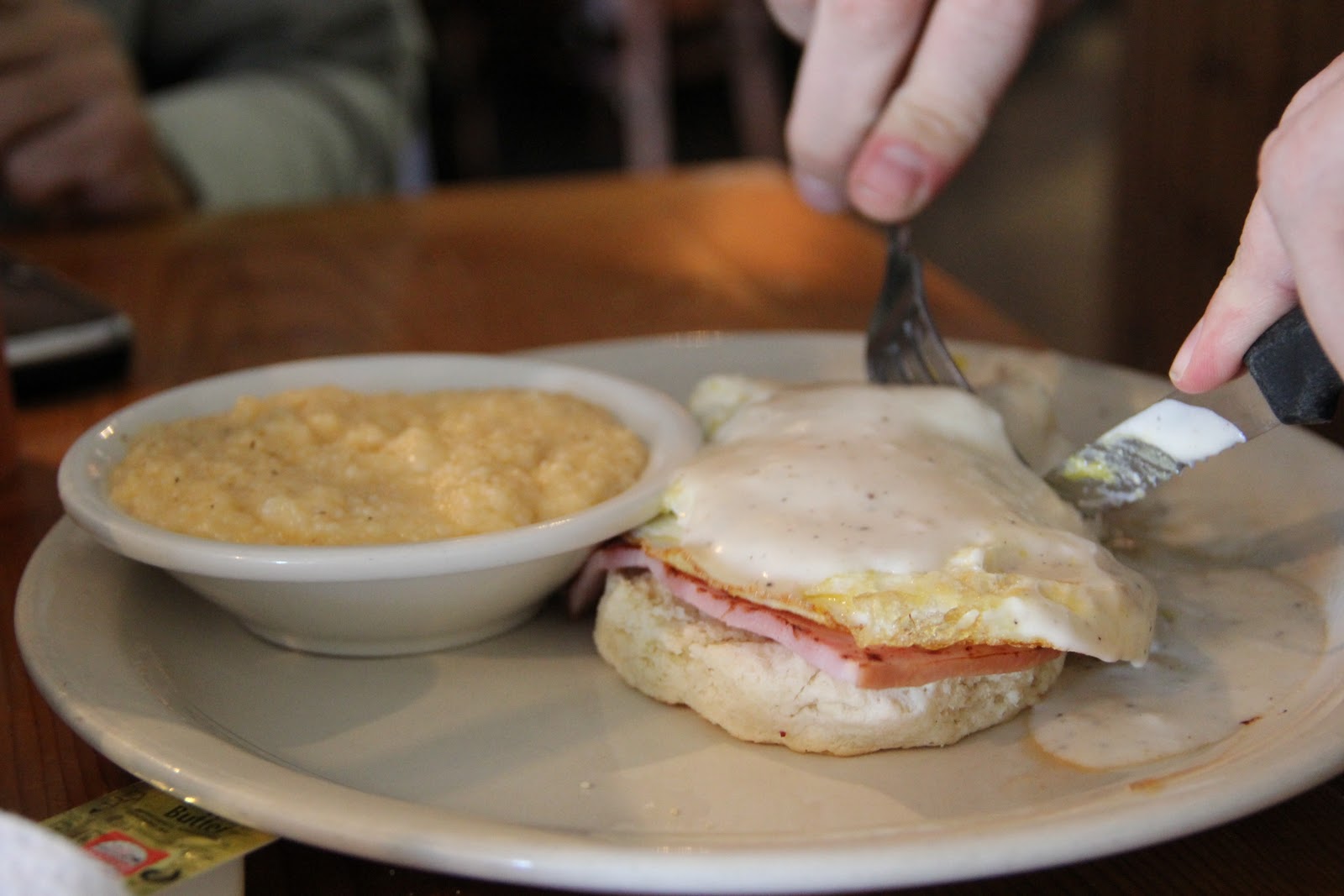 kittens and pitbulls Dallas Lunch Spots