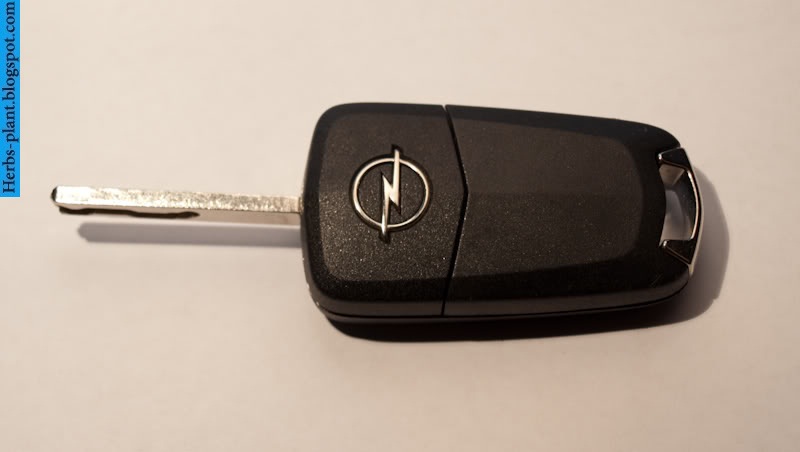 Opel astra car 2013 key - صور مفاتيح سيارة اوبل استرا 2013 Opel astra car 2013 key - صور مفاتيح سيارة اوبل استرا 2013