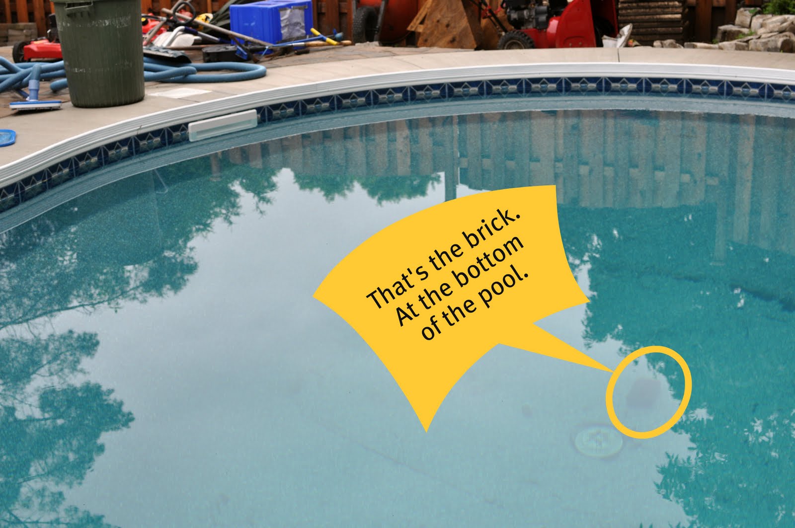 Wynn Anne's Meanderings Muddy Waters