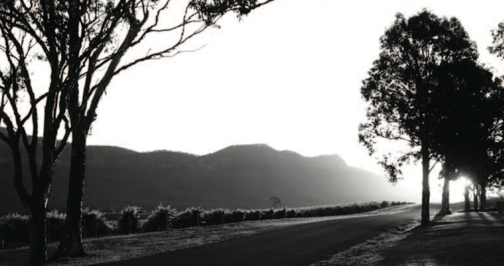 Travel Writer Top 5 Wine Destinations in the World!!