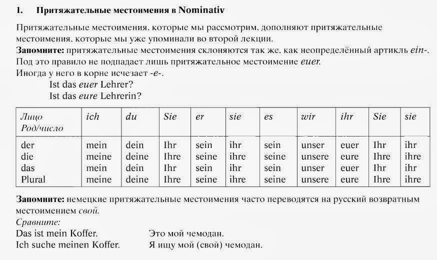 Deutsch lernen : притяжательные местоимения в немецком языке