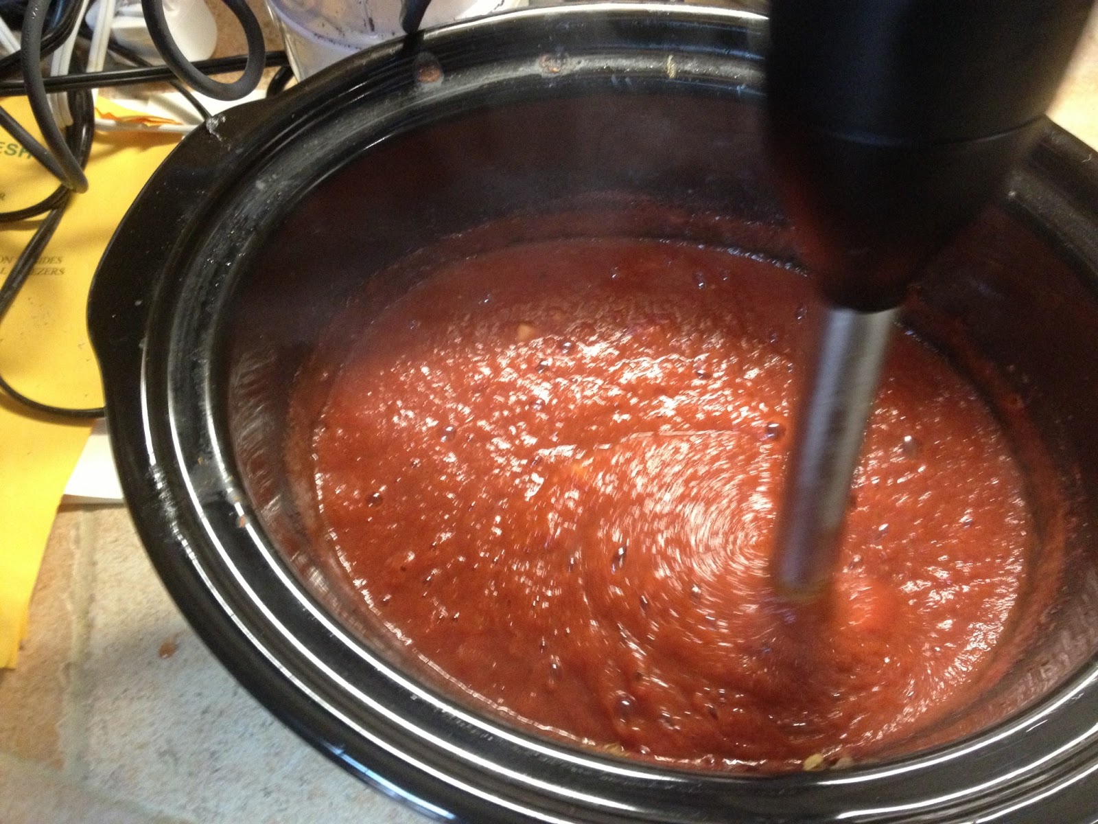 Susan Hawke Healthy Homemade Ketchup + BBQ Sauce