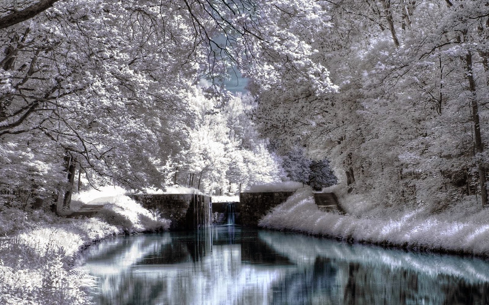 beautiful scenery pictures