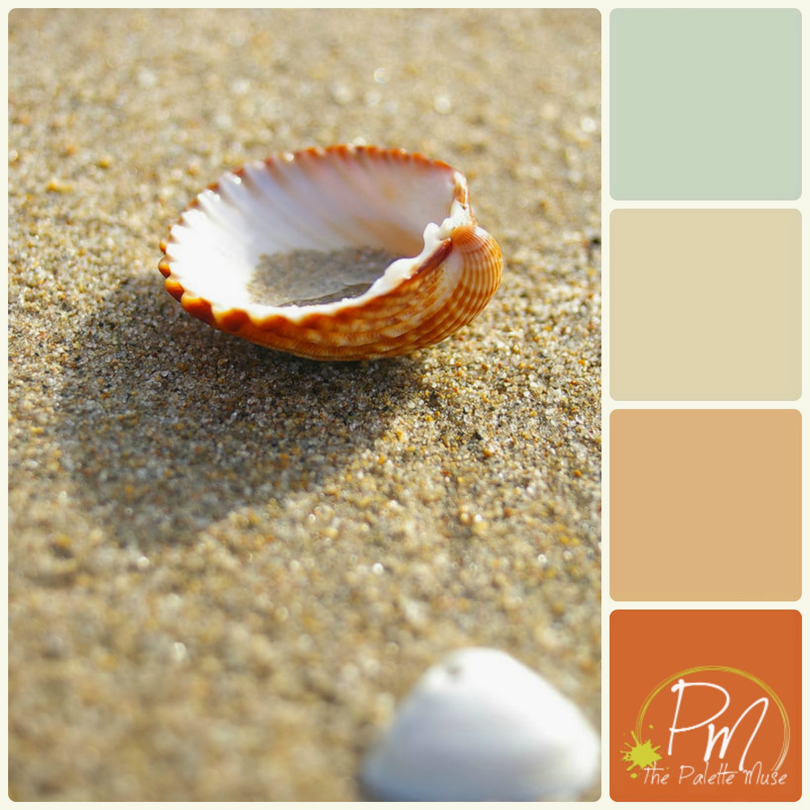 Beachy palette with sandy browns and sea green