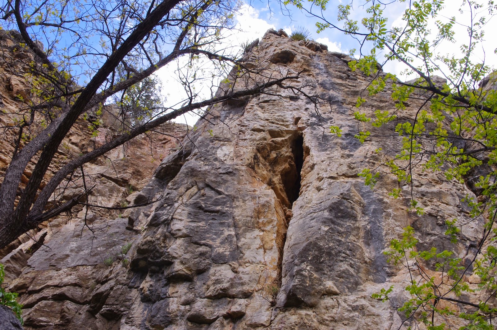 Southern New Mexico Explorer Mineral Creek, North Percha Creek Hike