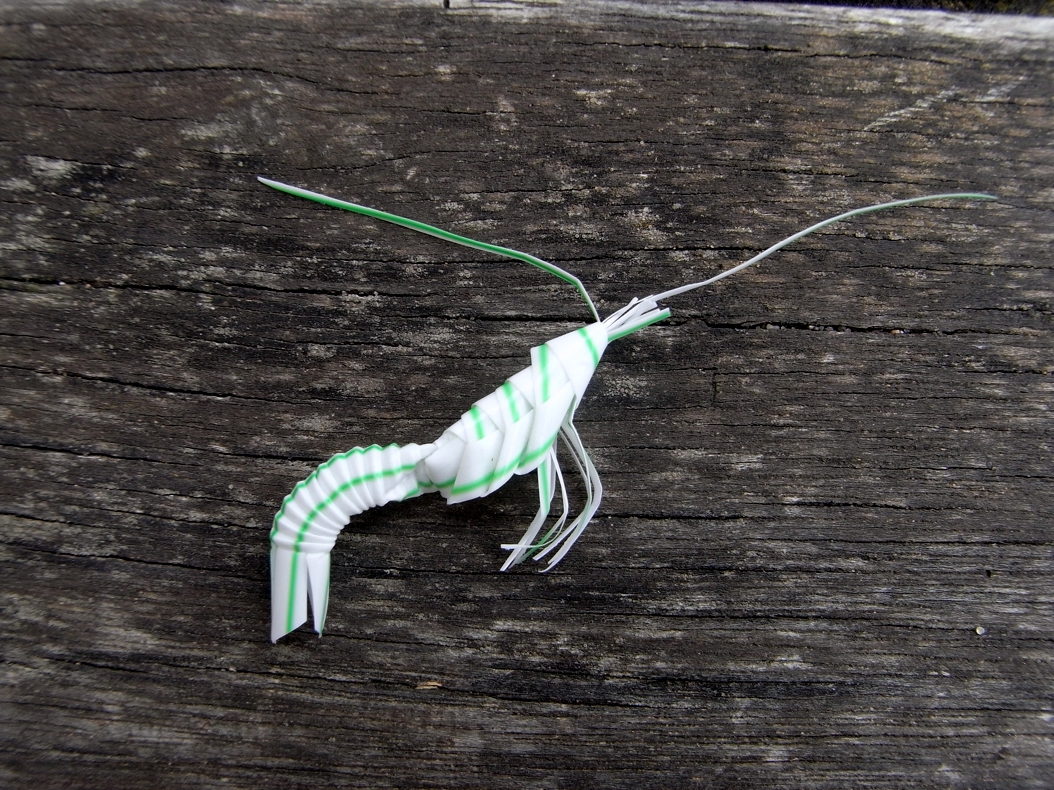 saraccino Straws to shrimps!